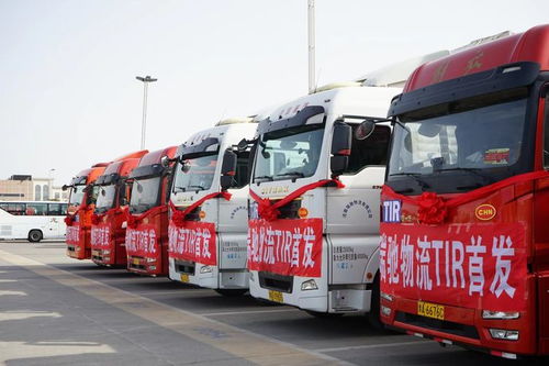 tir運(yùn)輸進(jìn)入新時(shí)代 全國(guó)首單tir大件貨物從鄭州航空港區(qū)發(fā)車(chē)